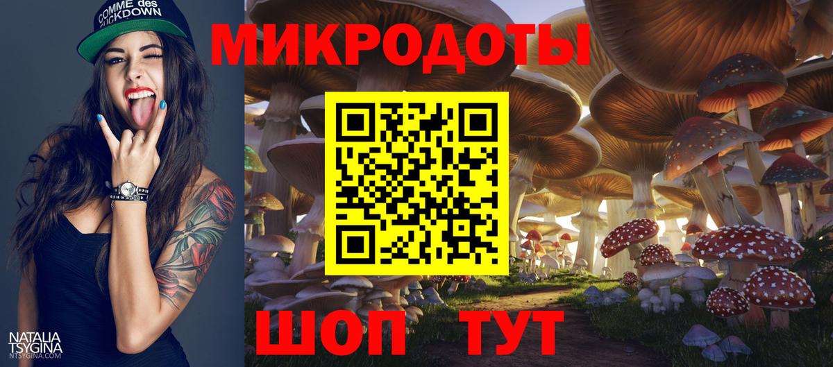 Псилоцибиновые грибы GOLDEN TEACHER  Вход с VPN  Таганрог  Галлюциногенные грибы MAGIC MUSHROOMS 
