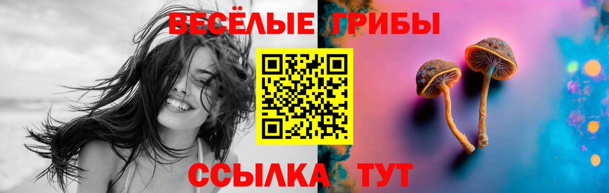 Галлюциногенные грибы Psilocybe Таганрог